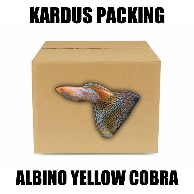 

Sticker AYC berkualitas