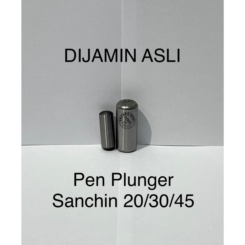 Pen Plunger Original Sanchin 20 30 45 Pin Piston Power Sprayer SCN20 SCN30 SCN45 BIJIAN