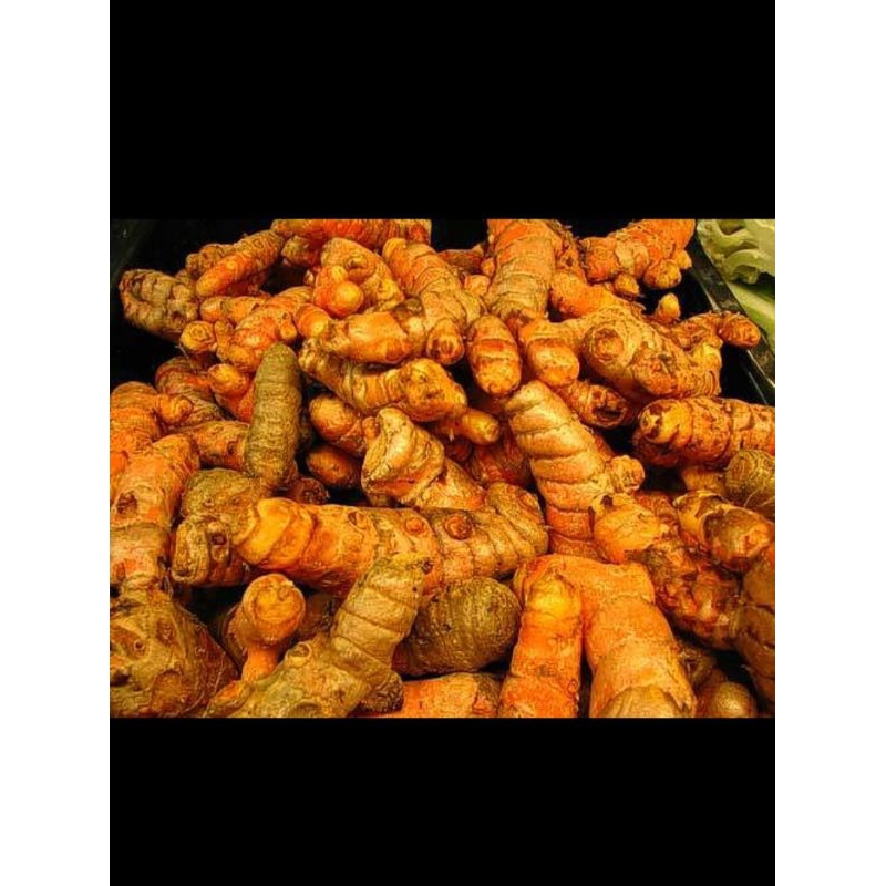 

Kunyit Segar hasil BUMI BLAMBANGAN 250gr