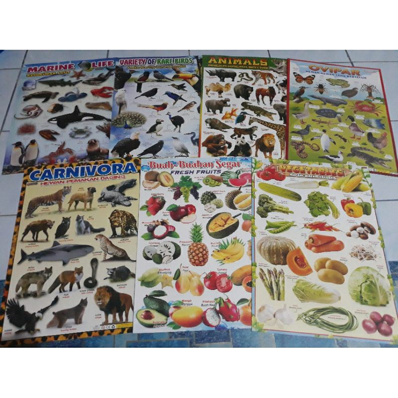 Poster gambar BINATANG/Hewan dan Buah- buahan dan sayuran
