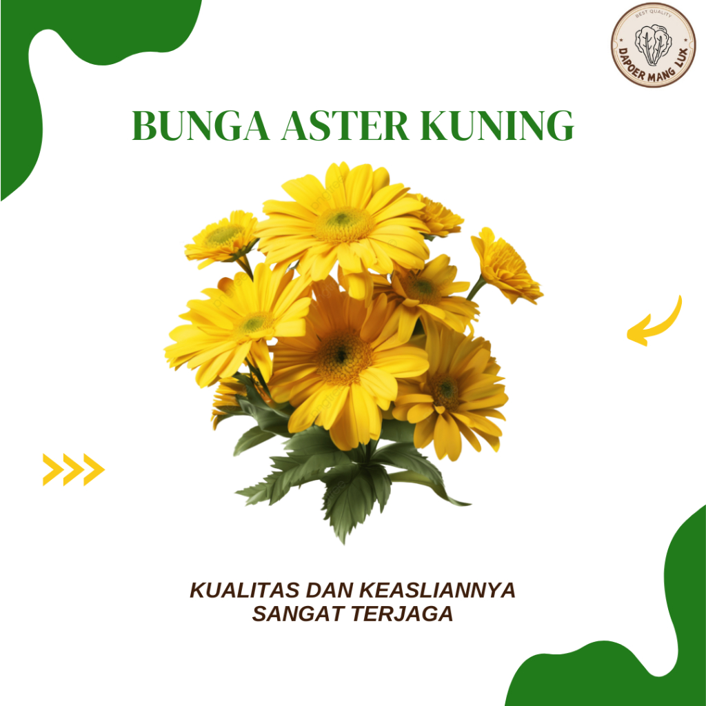 

EKSTRAK BUNGA ASTER KUNING BEST SELLER