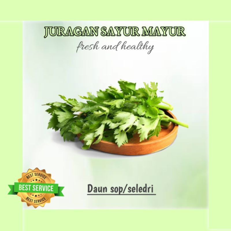 

{ 500 GRAM } Daun seledri segar { 1 KG } daun sop fresh