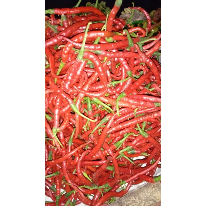 

cabe keriting merah 500gr,