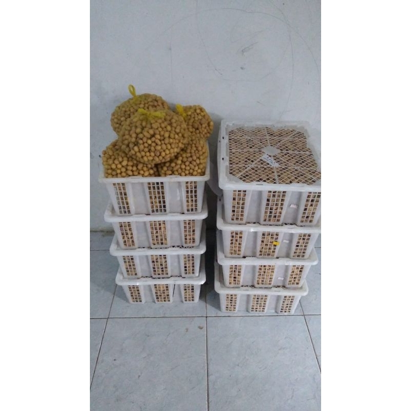 Bibit,kentang g0 varietas: Granola L