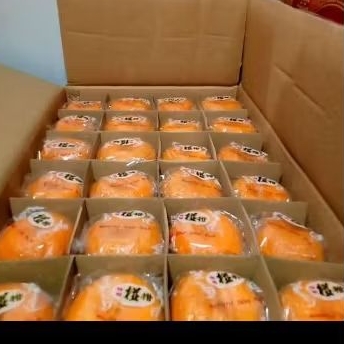 

JERUK HDL 1DUS ISI 72 BUAH FRESH JUMBO