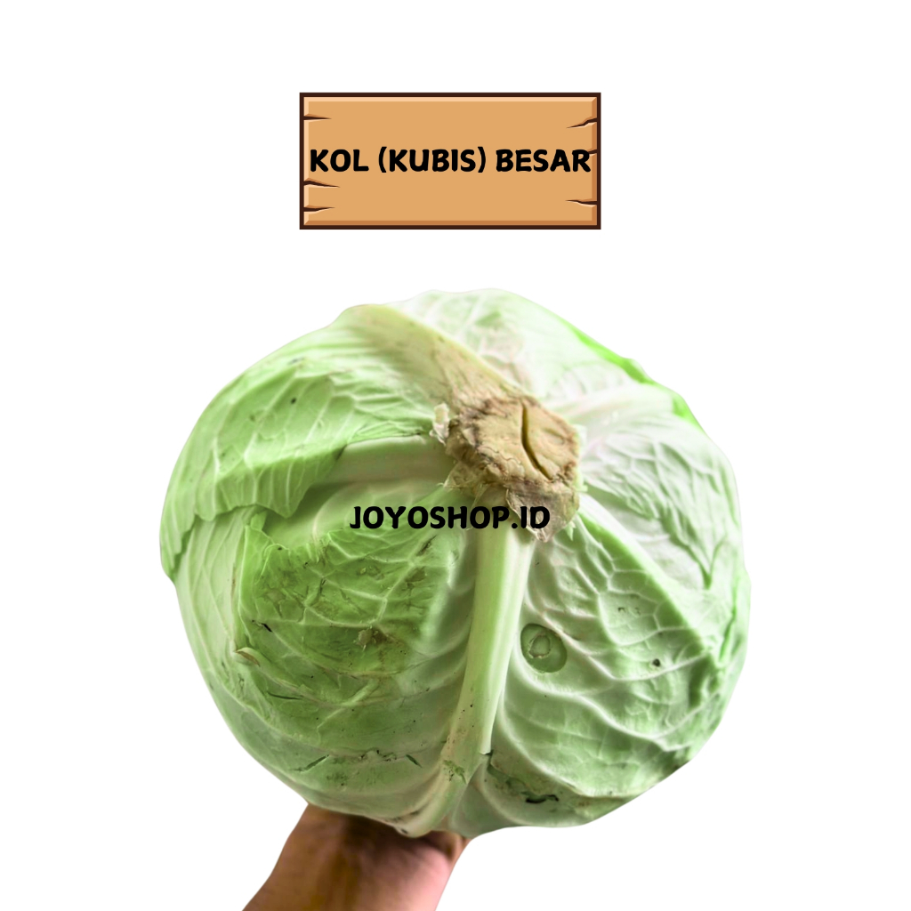 

[JOYO SHOP] KUBIS ( SAYUR KOL ) SIAP KIRIM INSTANT AREA SEMARANG
