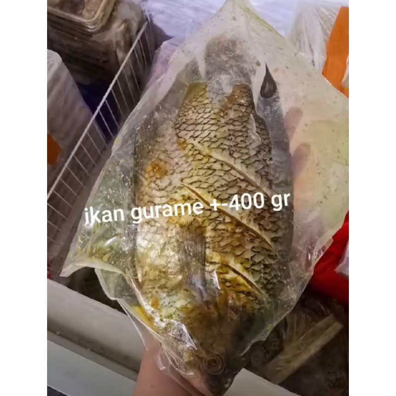 

Ikan Gurame