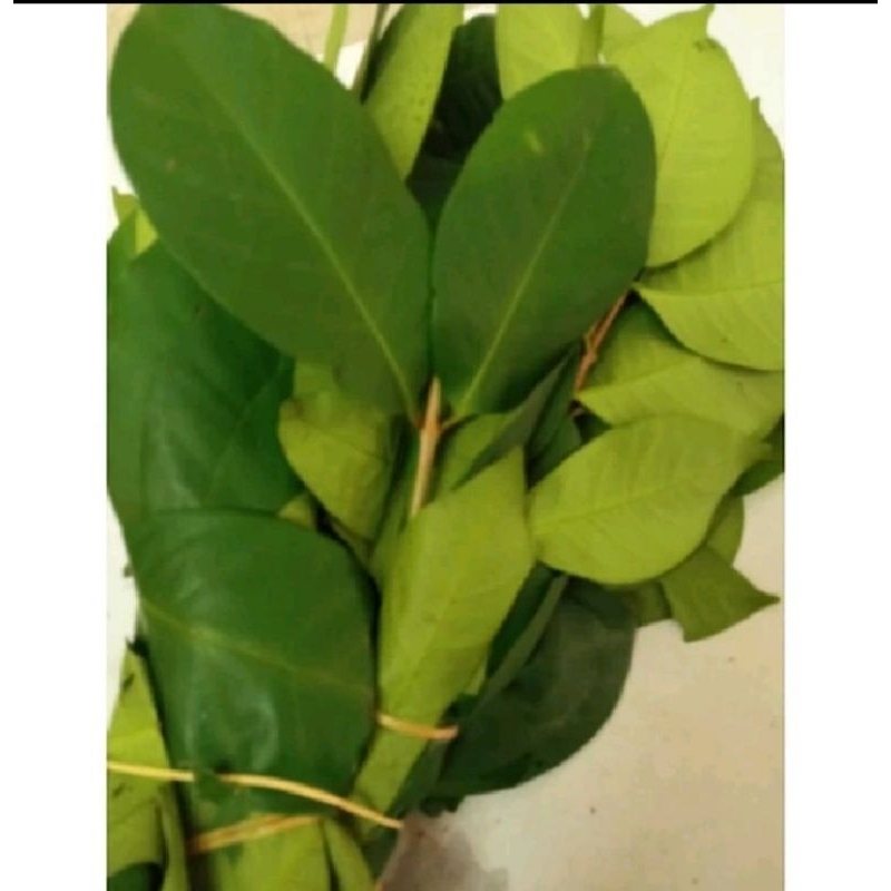 

Daun Salam Bumbu Dapur Penyedap Masakan Segar