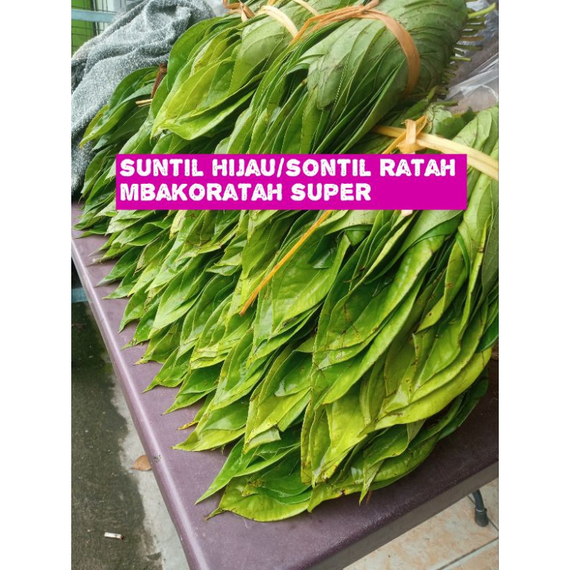 

suntil hijau/sontil ratah/mbakoratahmedan super 100gr#sirihmedan#suntilhijau#mbakoratah#suntilkuning#suntilhitam#mbakogayo#mbakogersing#kapursirih#gambirmahabunga#gambir