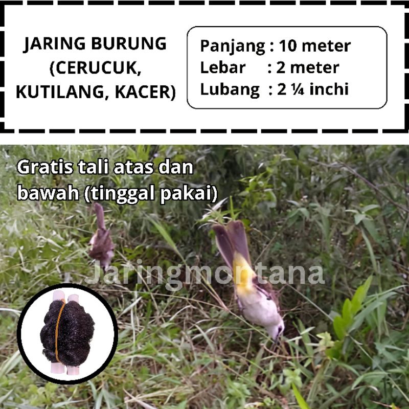 JARING BURUNG TRUCUKAN JARING BURUNG SIAP PAKAI JEBAKAN BURUNG KUTILANG JARING MONTANA JARING