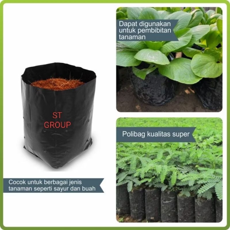 Teh_Teh Maniez Polybag Tanaman 40 X 40 Cm Isi 50 Pcs Polibag Pelastik Untuk Media Tanam