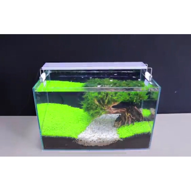 Aquarium Kaca tebal 5mm