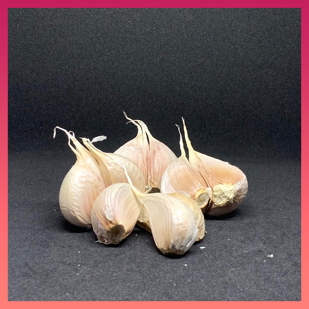 

Bawang Putih Kating Bersih - Bawang In