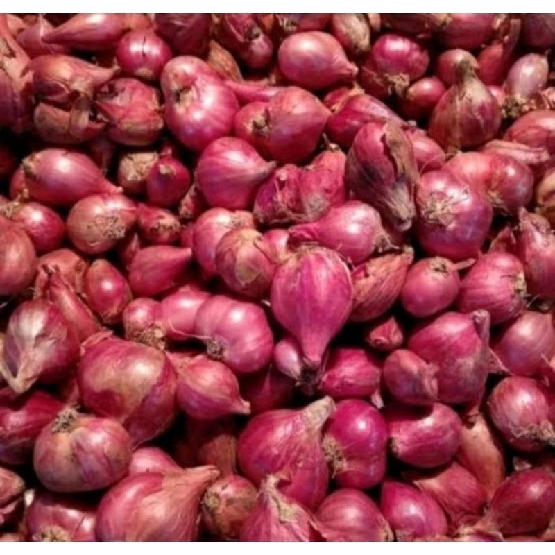 

bawangmerahbrebes 1kg