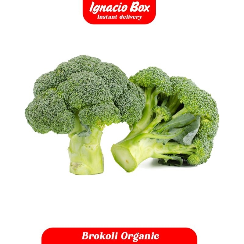 

Sayur Kol Hijau Segar [ ± 200 Gr ] Kebun IgnacioBox