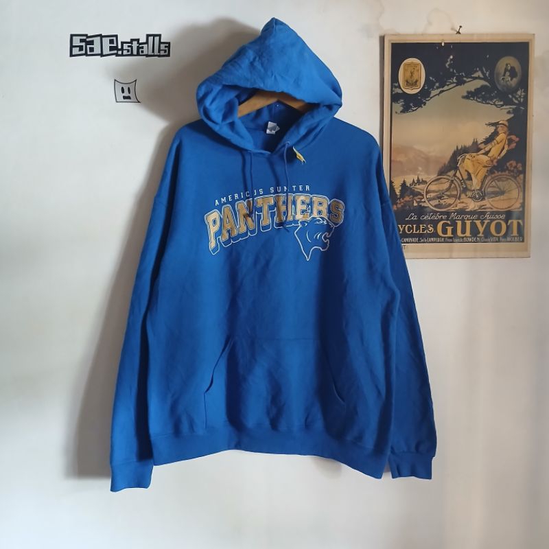 Hoodie Vintage Jerzees Panthers