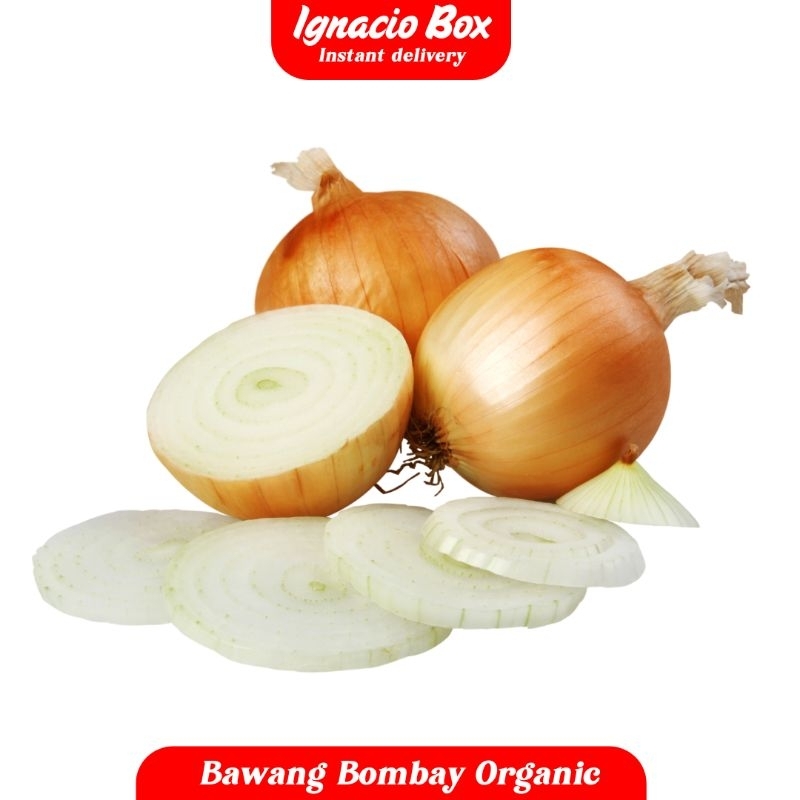 

PROMO Bawang Bombay 250gr Segar Organik IgnacioBox