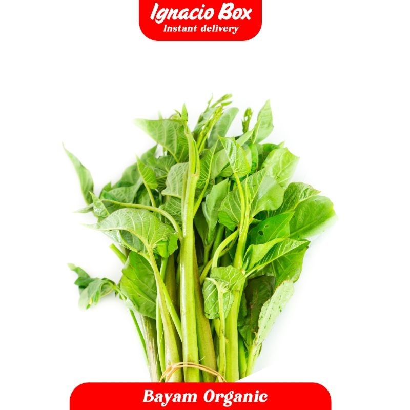 

PROMO Sayur Bayam Baby 250gr Segar Organik IgnacioBox