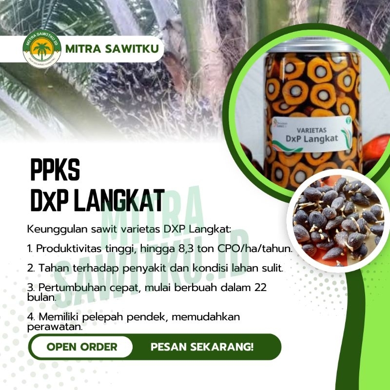 K K S   SAWIT   P P K S DxP Langkat Pelepah Pendek