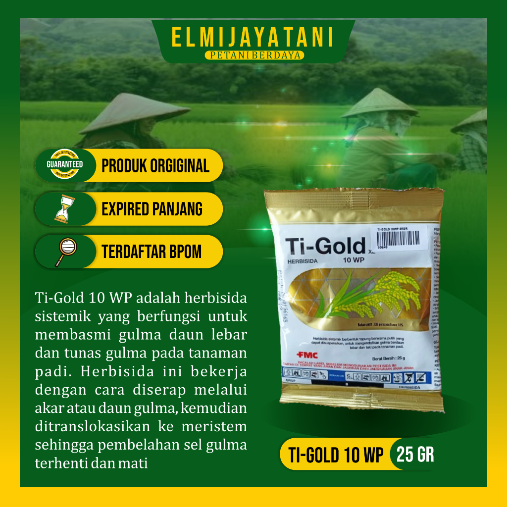 TI-GOLD 10 WP 25 GR ORIGINAL