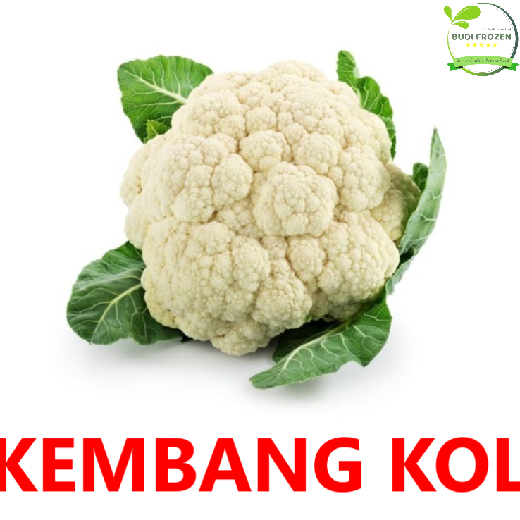 

KEMBANG KOL SEGAR / BUNGKUL / BERAT 800 GR PER BUNGA / HARGA PASAR