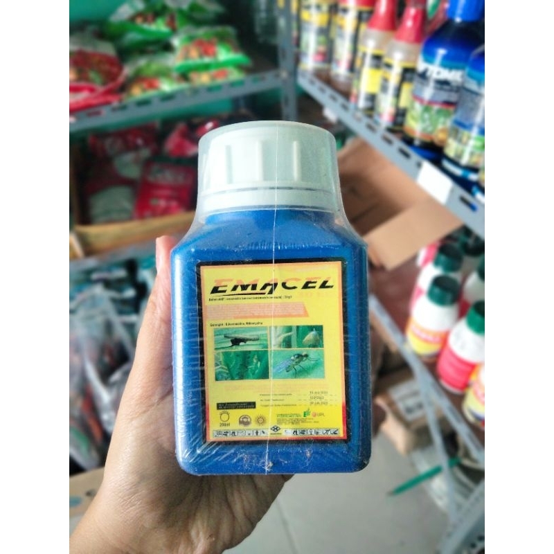 Emacel