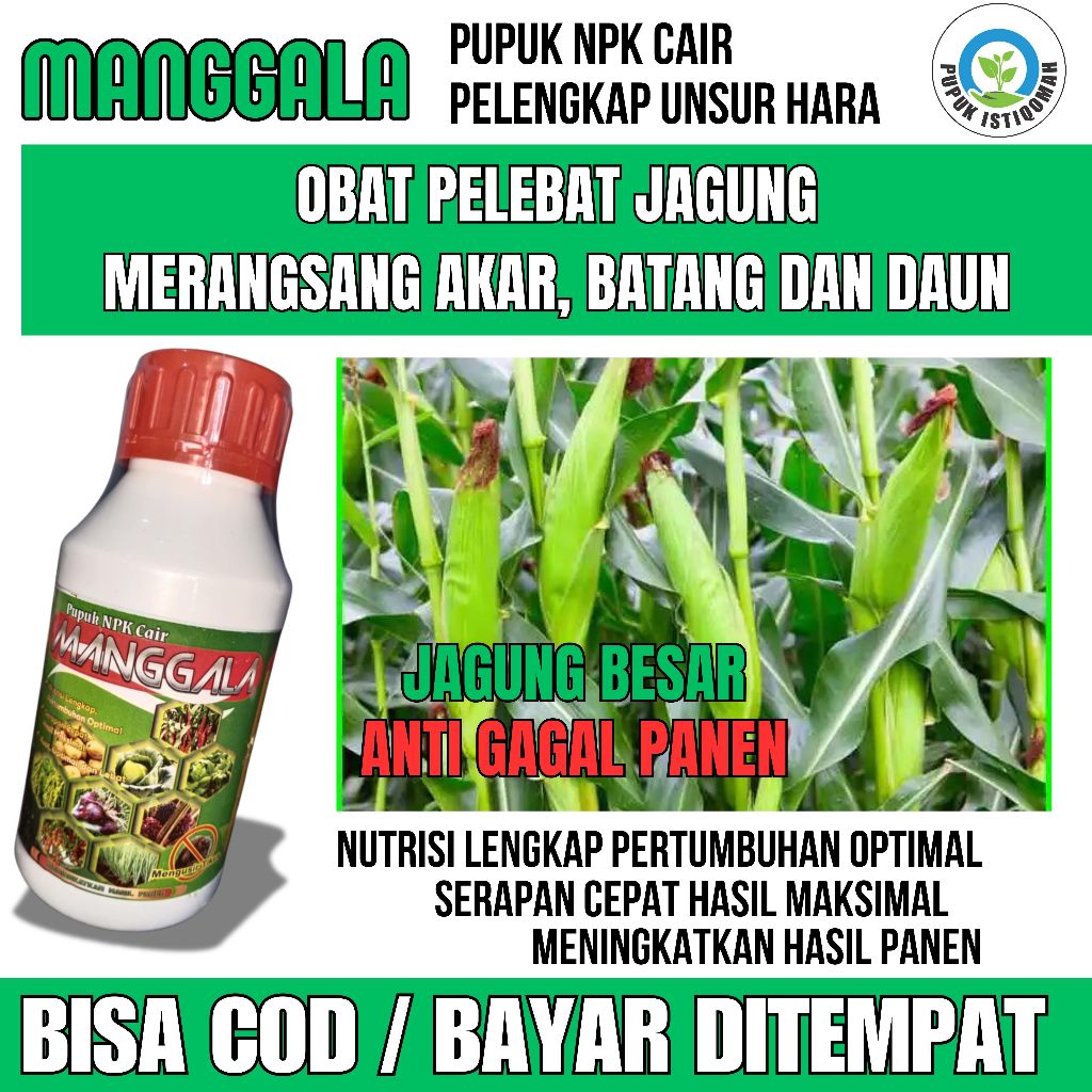 Pupuk Booster Jagung Organik NPK MANGGALA Pupuk Jagung Pemacu & Pelebat Perangsang Buah Jagung