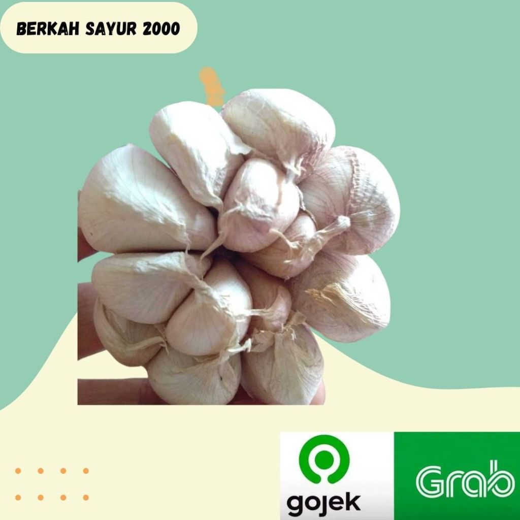 

Bawang Putih SINCO Bersih 500gr - 1000gr
