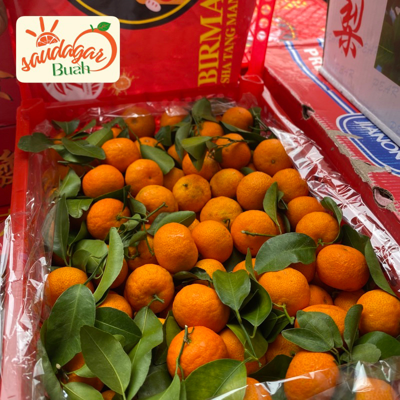 

BUAH JERUK SANTANG MADU BIRMA MANIS FRESH 500GR
