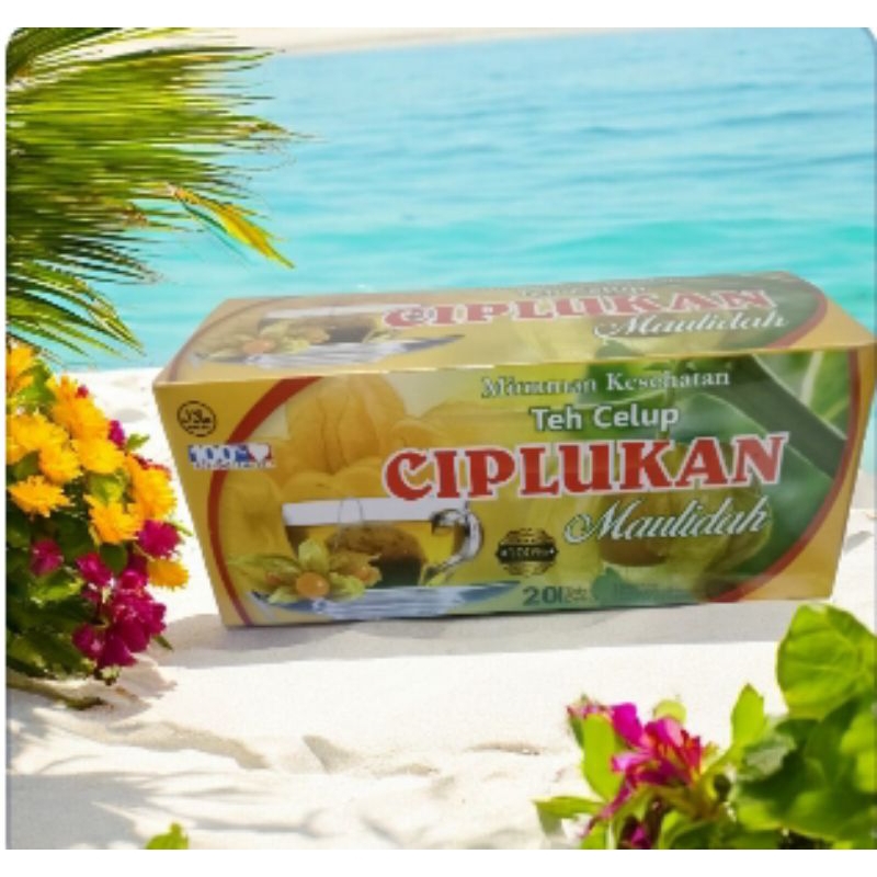 

Paket 2 pcs teh celup daun ciplukan//teh celup daun ciplukan isi 20 teh celup