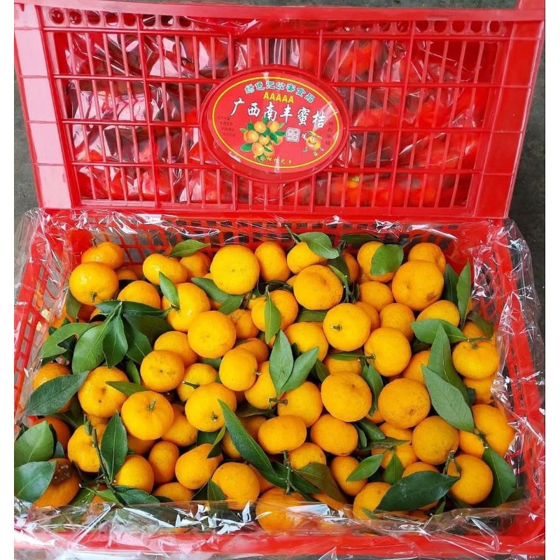 

Shantang madu birma 1 keranjang