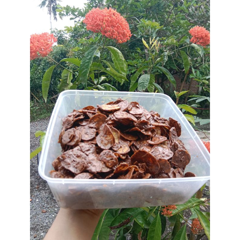 

Keripik Pedas Kering