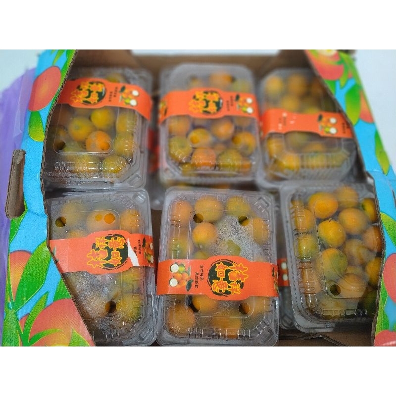 

jeruk kimkit manis bisa di makan sama kulitnya