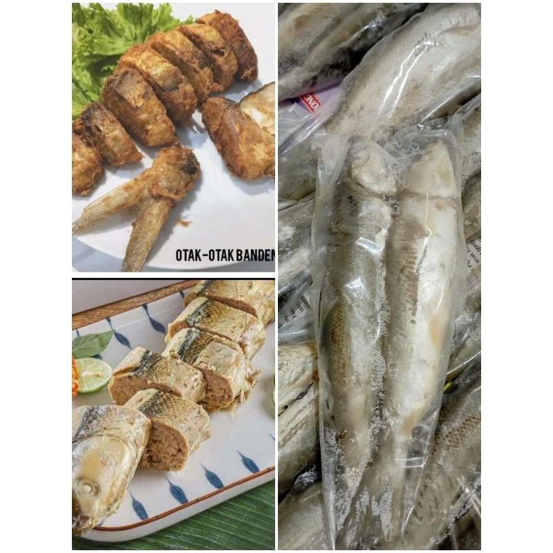 

Frozen Otak-Otak Bandeng MURAH