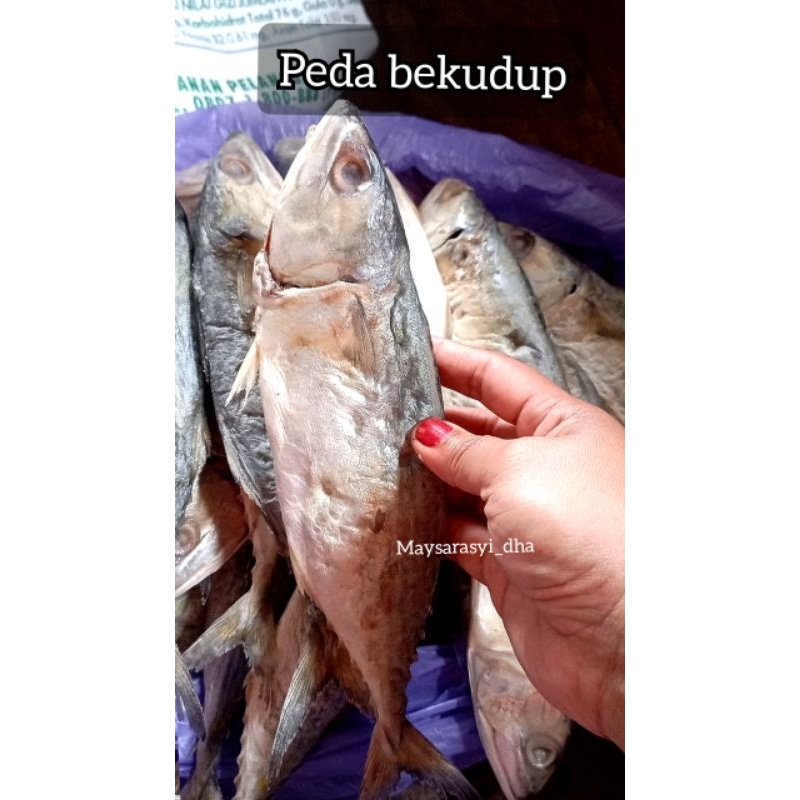 

POLIBAG 30×30 (khusus pesanan)