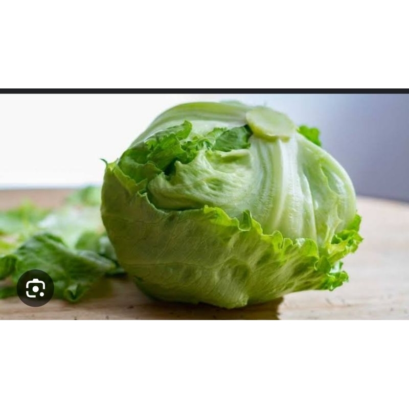 Lettuce sayuran kebab