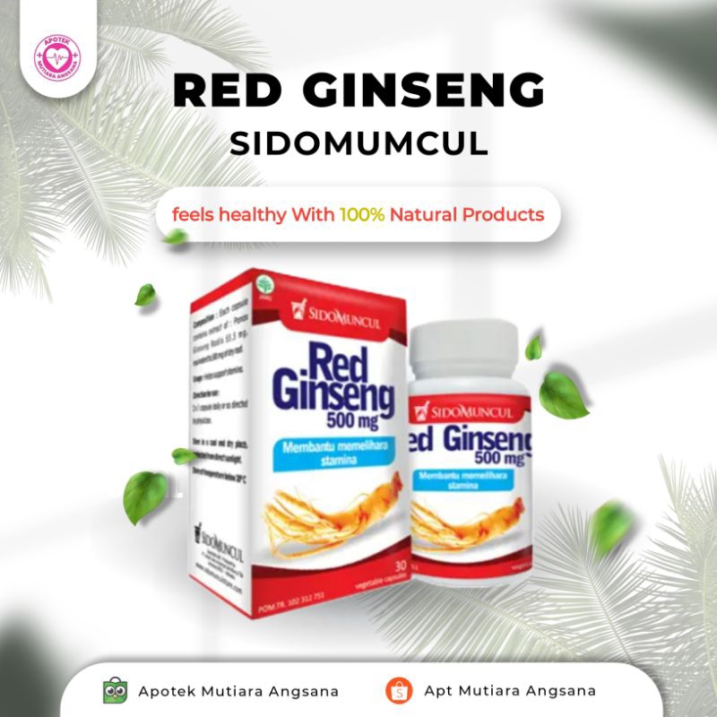 

Sidomuncul Red Ginseng Isi 30 Kapsul