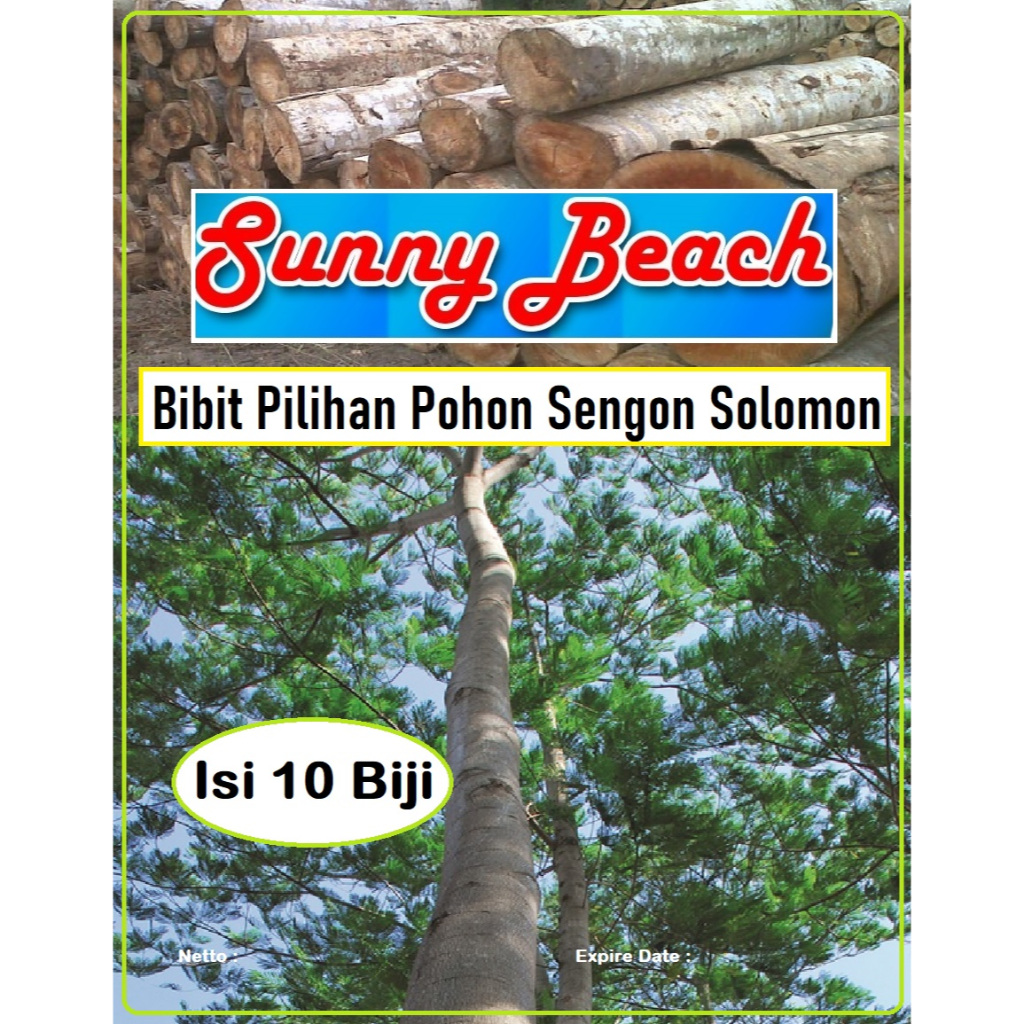 Bibit Pilihan Pohon Sengon Solomon | Biji Benih Pohon Kayu Sengon Solomon