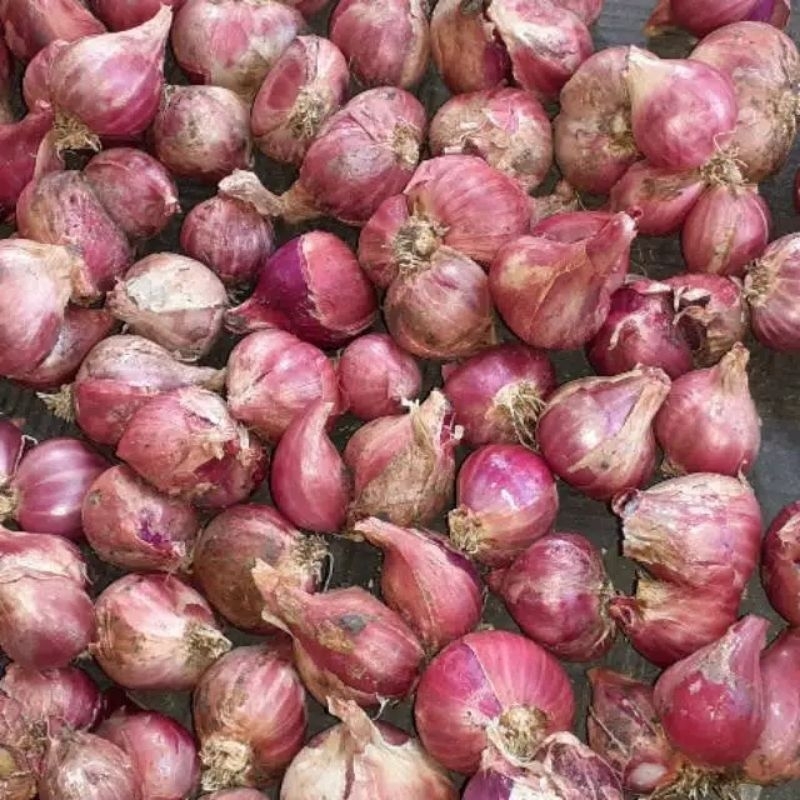 

Bawang Merah Campur Probolinggo 1kg