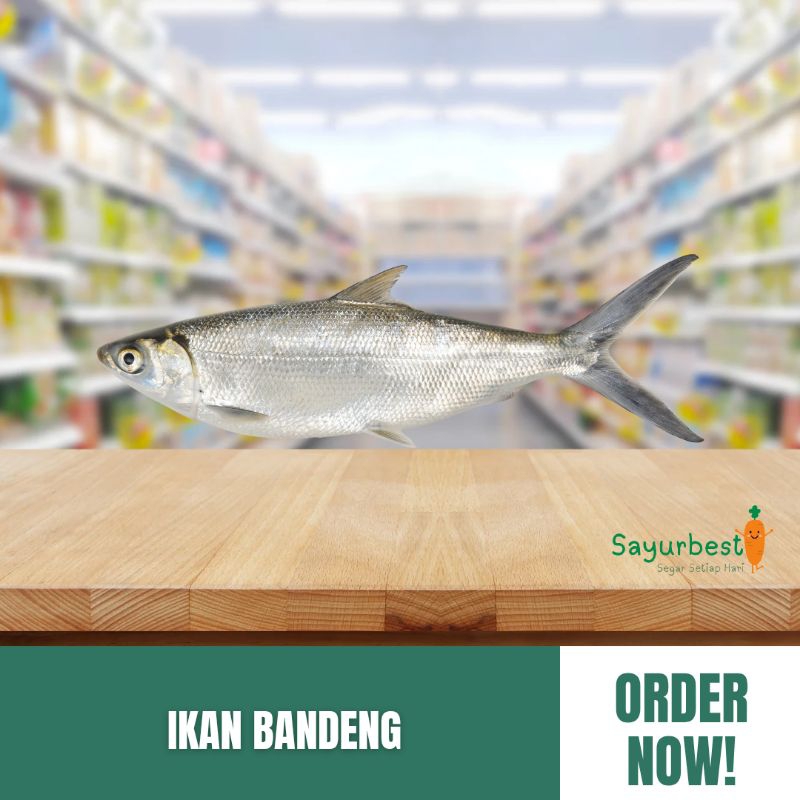 

(PO KIRIM BESOK) Ikan Bandeng 500gr