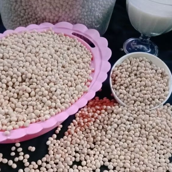 

KACANG KEDELE