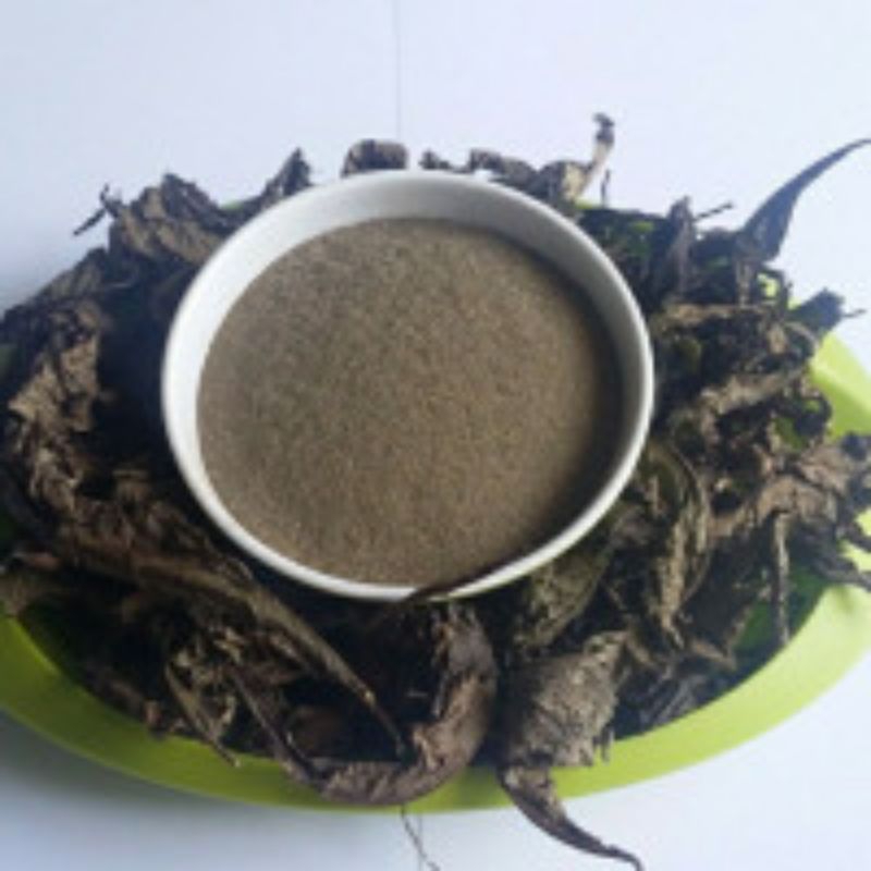 

Bubuk Serbuk Srigunggu isi 500 Gram