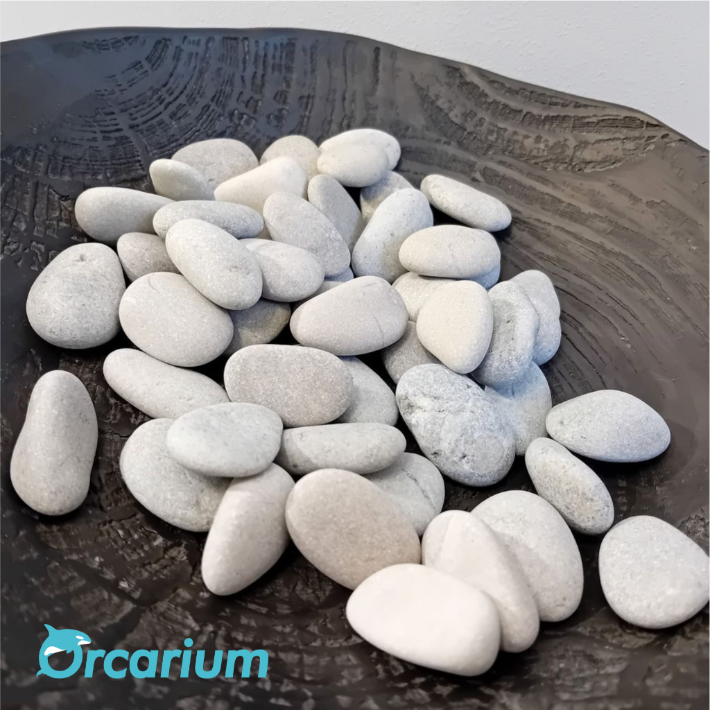 Batu Akuarium Putih Ukuran Sedang Batu Hiasan Akuarium Batu Putih Batu Alam Aksesoris Aquascape
