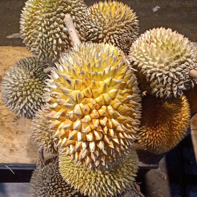 

Durian