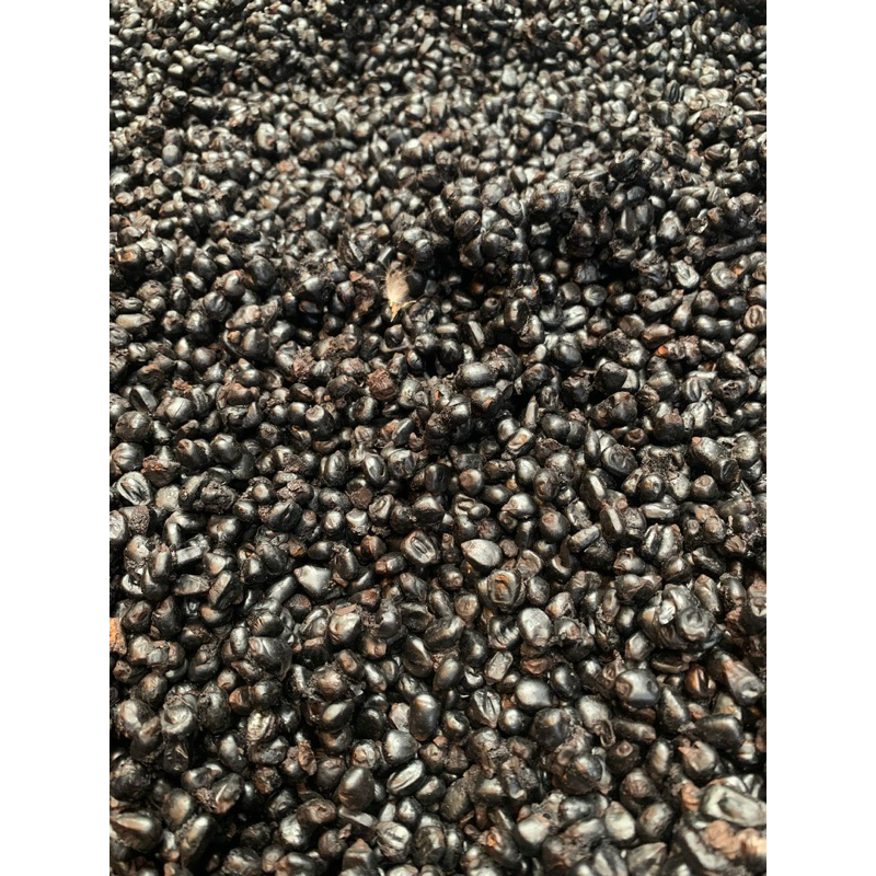 

jagung oven 50kg