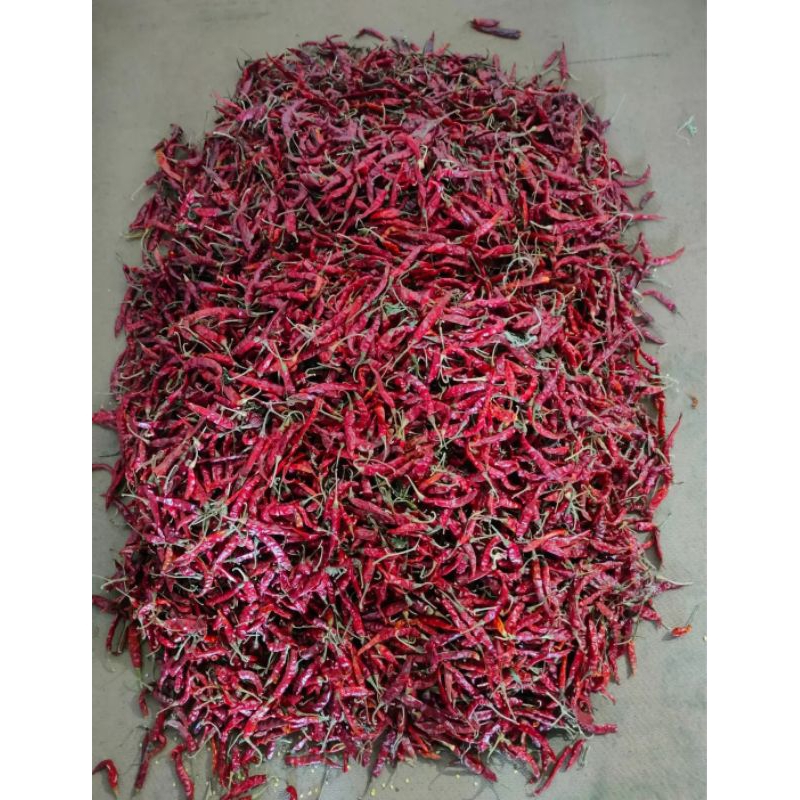 

Cabe Rawit Merah Teja India Kering SUPER PEDAS 250 Gr - 500Gr Tangkai Dijamin Fresh dan Super Pedas