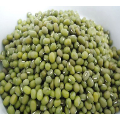 

Kacang Hijau 1 Kg Berkualitas