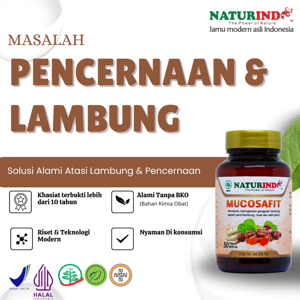 

Herbal Asam Lambung dan Maag Alami Obat Herbal Mucosafit Naturindo