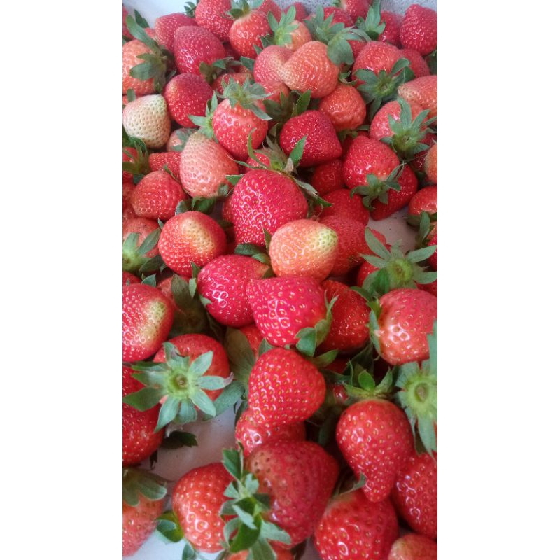 

strawbery frest 500 gram
