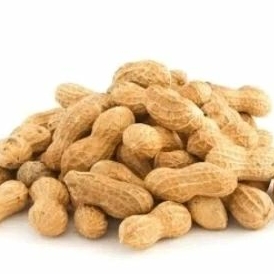 

KACANG KULIT KRIUK